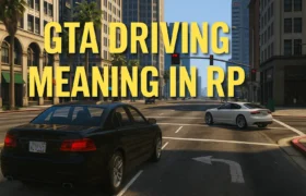 GTA Driving Meaning in RP